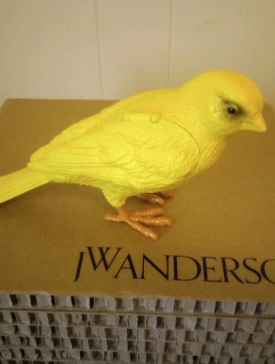 JW ANDERSON Handbags - JW Anderson " Canary " Clutch Bag